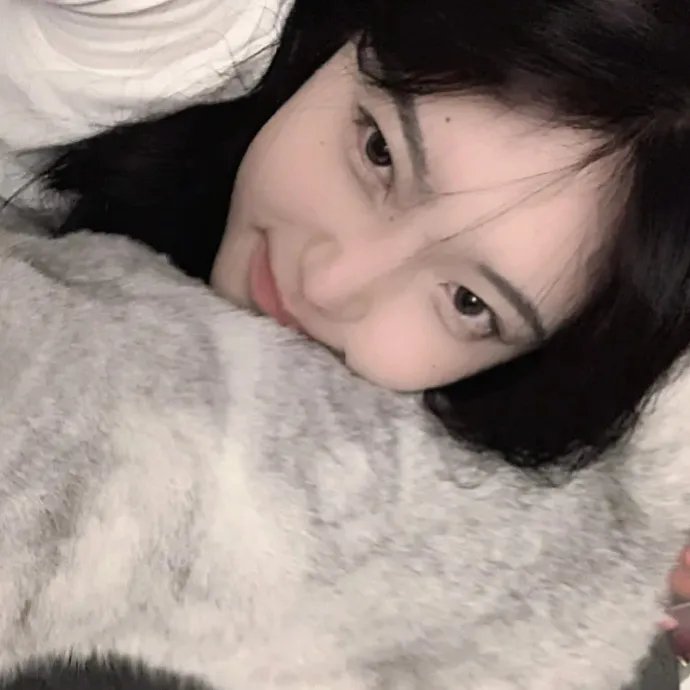 熊猫历险记